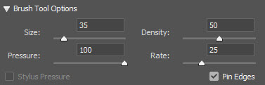 Brush Tool Options